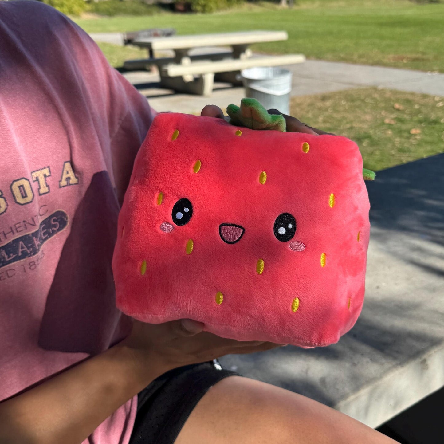 Strawberry Cube Plush - Ichigo