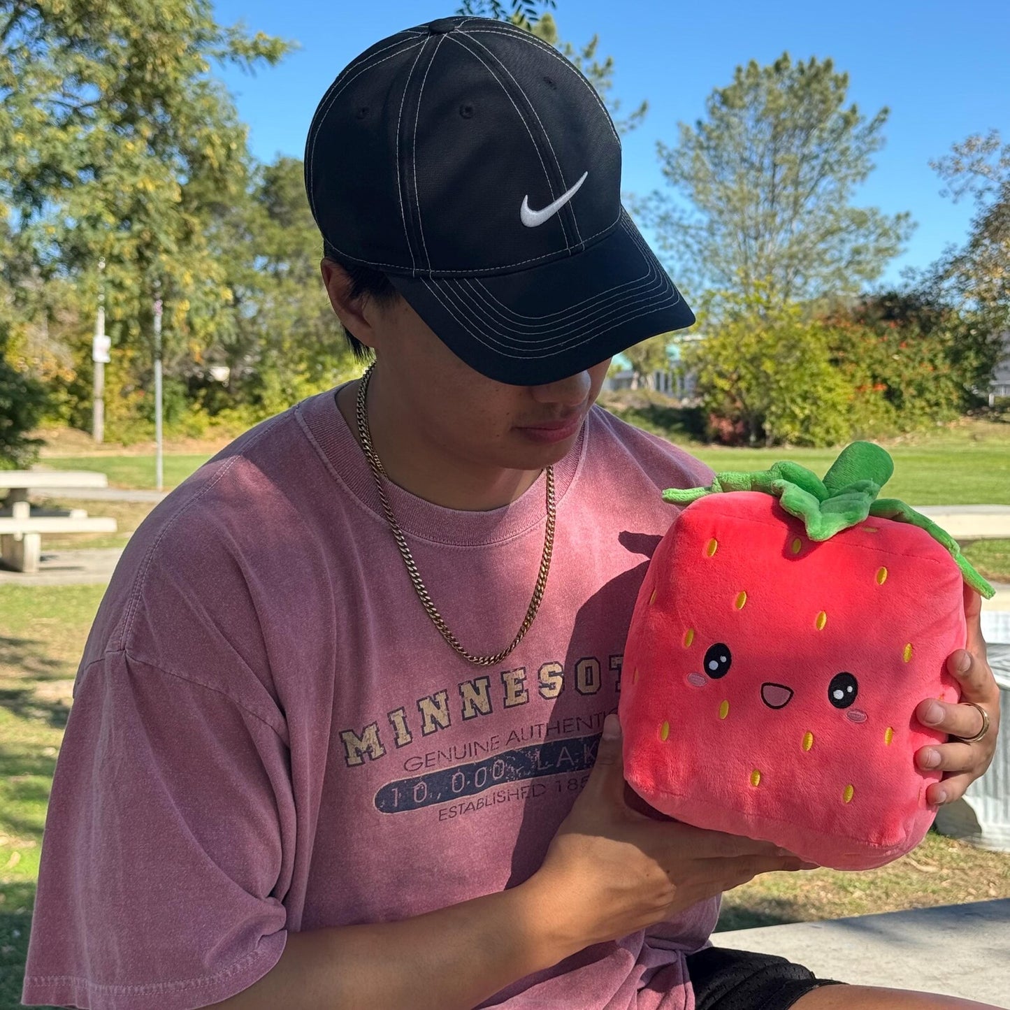 Strawberry Cube Plush - Ichigo